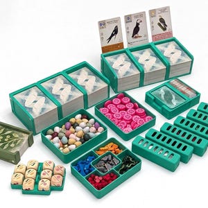 Op de afbeelding: Een bordspel-organizerset met teal-kleurige plastic bakjes en houders. De set bevat kaarthouders met vogelkaarten, een bakje gevuld met kleine ovale fiches, een bakje met roze ronde fiches en een bakje met vakjes voor gekleurde stukken. Ook inbegrepen zijn kleine teal-kleurige doosjes en een bakje met negen lichtgekleurde dobbelstenen.