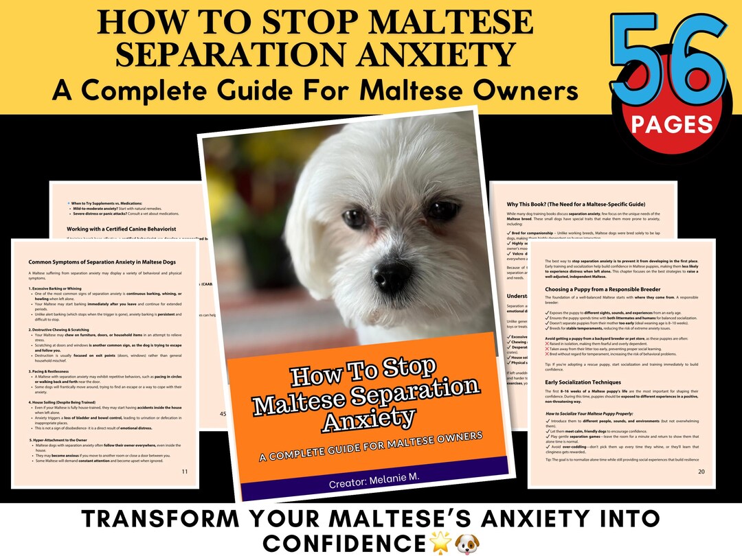 Maltese Separation Anxiety Training Stop Barking, Clinginess & Panic