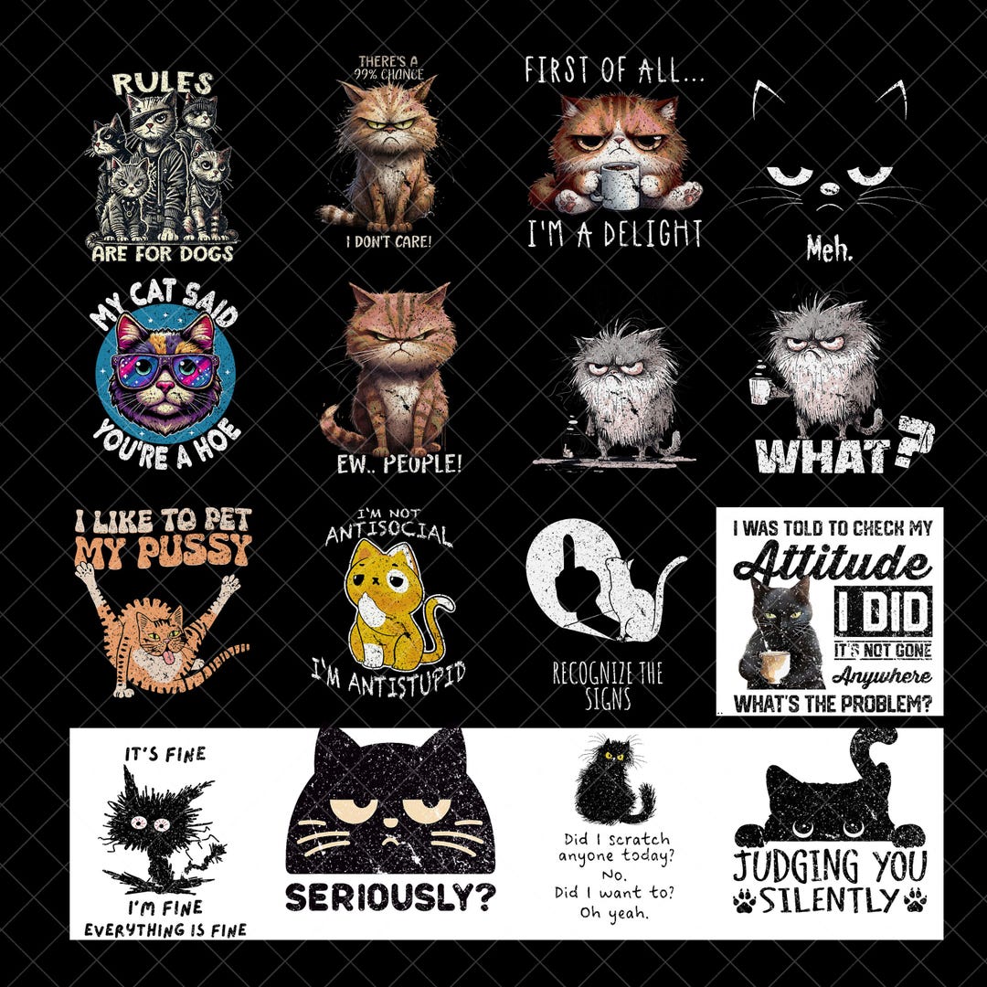 Sarcastic Cat Png Bundle, Funny Cat Png Designs, Sarcasm Png, Sarcastic ...