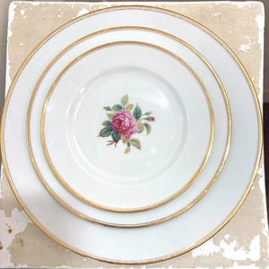 Noritake China Roses - Sharon 3057 - Japan Dinnerware -  Display - Perfect Gift for Hosts