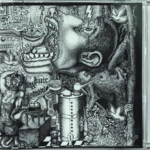 May include: A CD case featuring a black and white illustration. The artwork depicts a surreal, detailed scene with a large face, a monkey-like figure, and various symbolic elements. The text "Pax Futir Demon" is visible.