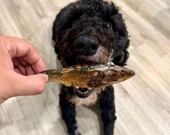 Dehydrated Sardine Dog Treats: Whole & Cut Fish, Omega-3 Rich