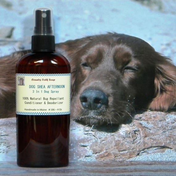 Dog Spray DOG SHEA AFTERNOON Natural Dog Spray For Your Etsy