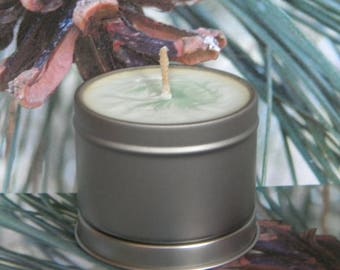 PINE N DANDY Soy Candles, Christmas Candles For the Holiday Season, Pine Scented Candles, Homemade Balsam Pine Candles, Fir Tree Candles