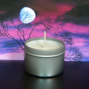 DREAM FETCHER Lavender Sage Scented Natural Soy Wax Candles, Aromatherapy Candles