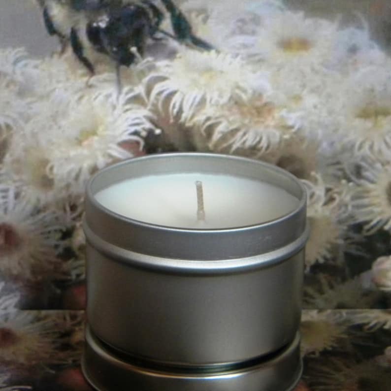 May include: A silver candle tin with a white candle and a single wick. The candle is surrounded by a white, fuzzy background.