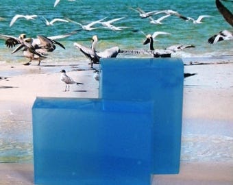 Beach Soap BEACH BE CRAZY Soap, Funny Soap For Women, Sand Jasmine Sea & Mandarin, Compare To Bobbi Brown Beach, Designer Scent Soap,