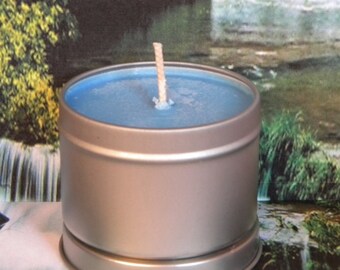 Patchouli Musk Soy Candle: Whirled Peace Scented Tin Candle