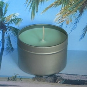 COCONUT SMOOTHIE Coconut Lime Verbena Scented Candles Handmade With Sustainable Soy Wax Highly Scented With Phlthlate Free Fragrance Oil