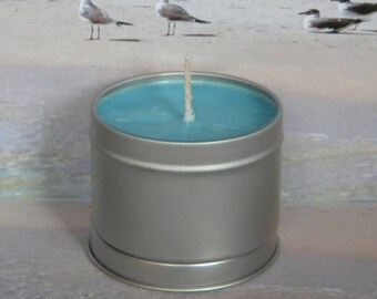 BEACH BE CRAZY Soy Candle Tin, Beach Candles, Handmade Soy Candles Beach Scented, Funny Gifts For Friends