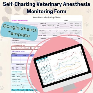 Anästhesiebogen Vorlage Selbstdarstellung Veterinär