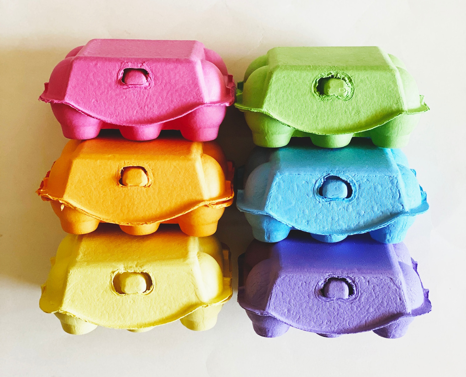 Free U.S. Shipping Adorable Colored Blank Egg Cartons Set of