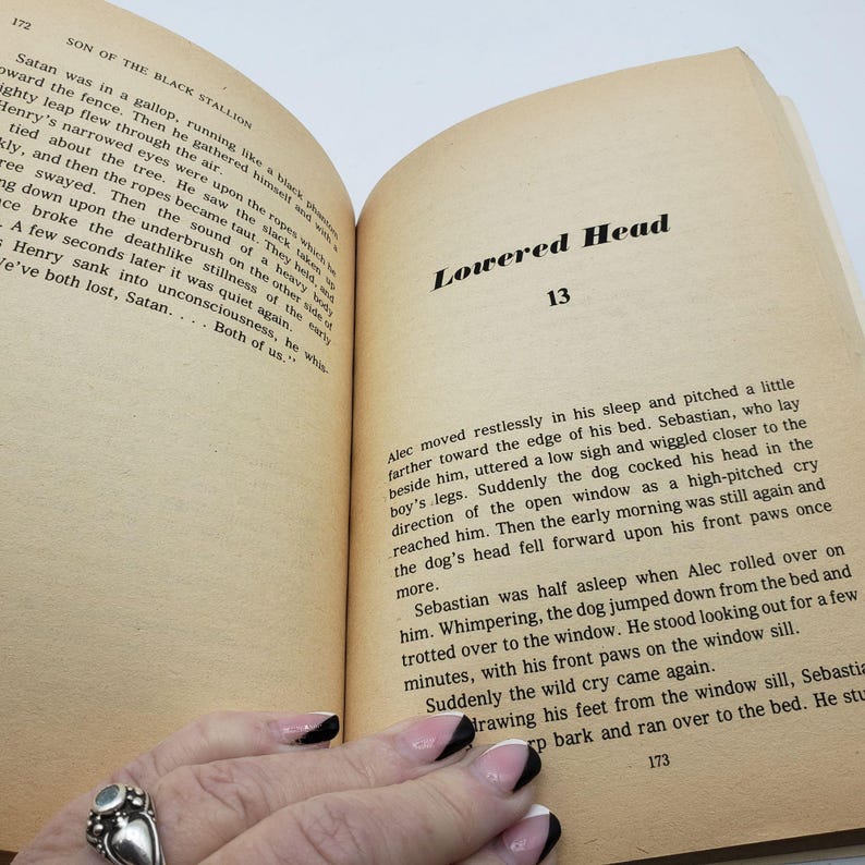 May include: Open book with text on aged paper. The text includes the title "Lowered Head" and the number "13". The book is open to a page with text about a dog and a boy. The book is titled "Son of the Black Stallion".