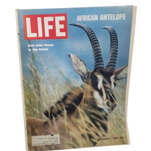 Life Magazine December 5 1969 African Antelope Cover Vintage