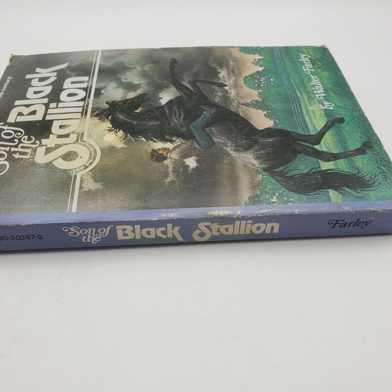 May include: A vintage hardcover book titled "Son of the Black Stallion" by Walter Farley. The cover features a black horse rearing up, with a person on its back, set against a cloudy sky and green landscape.