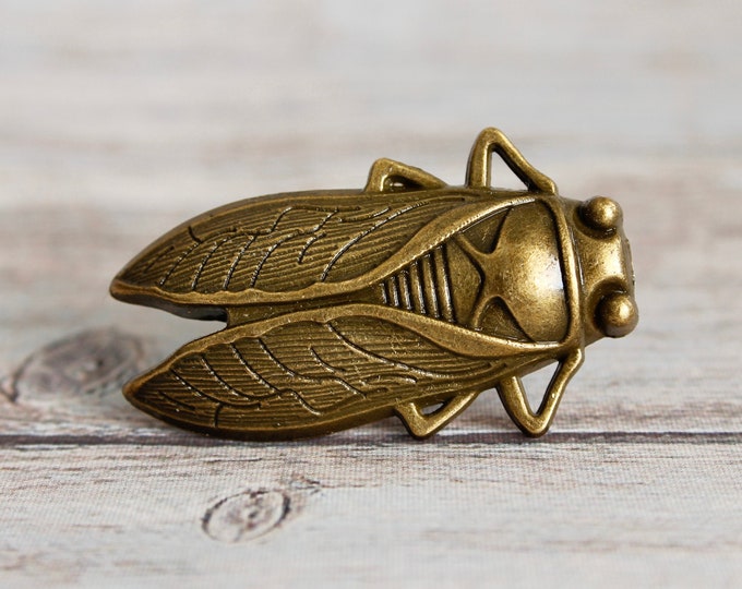 Insect Drawer Knobs in Brass Cicada Knobs Insect Etsy Canada