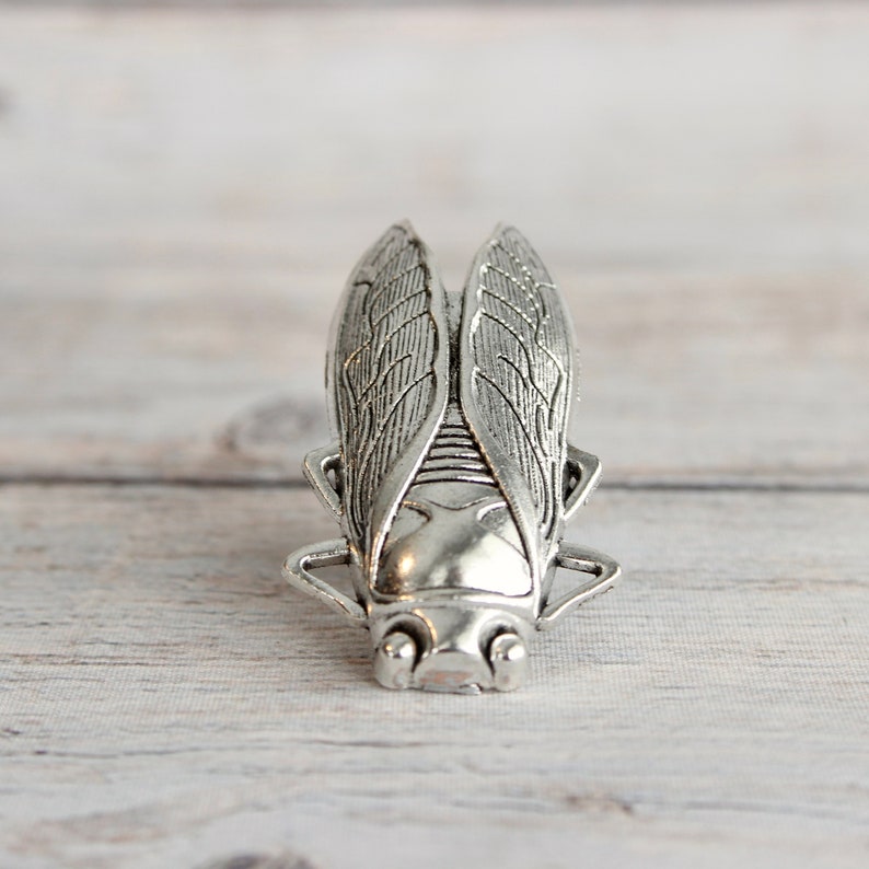 Insect Drawer knobs Silver Set of 2 / 4 / 6 / 8 Cicada Cabinet Knobs Entomology gift Bug Dresser Knobs for Woodland Decor image 6