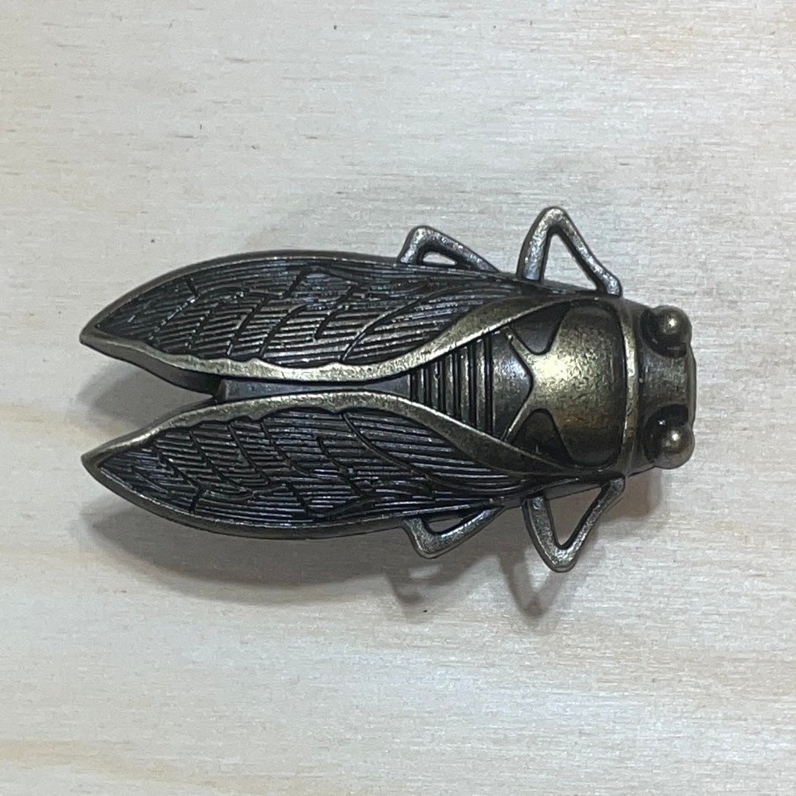 Insect Drawer Knobs in Brass Cicada Knobs Insect Etsy
