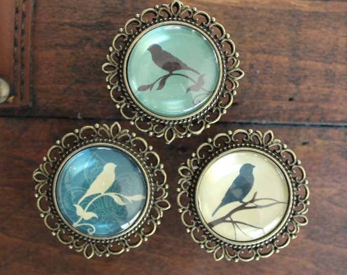 Bird Drawer Knobs Brass Knobs With Bird Images Etsy