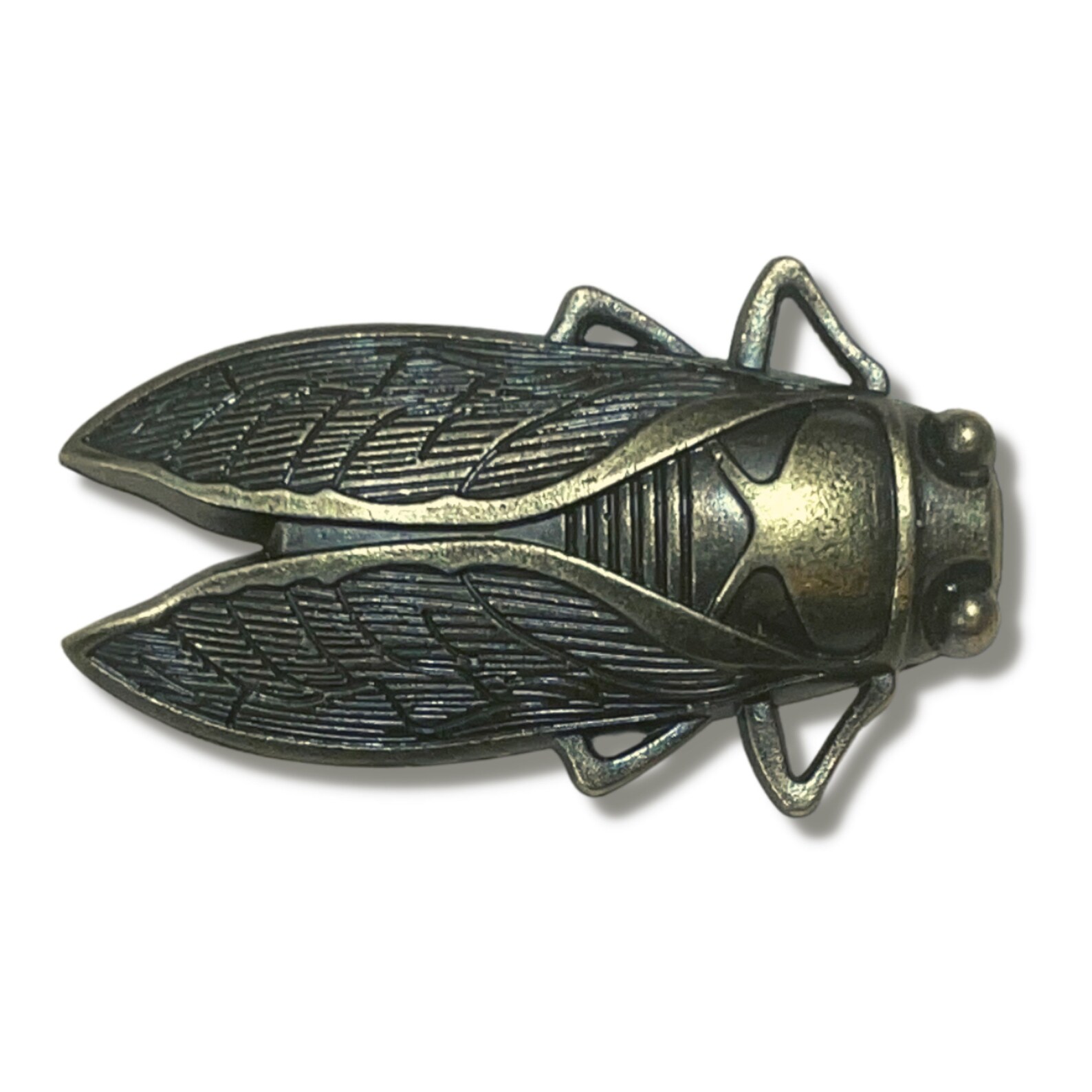 Insect Drawer Knobs in Brass Cicada Knobs Insect Etsy