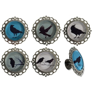 Peut inclure: Six boutons décoratifs ton argent avec un design en verre bleu et blanc représentant des silhouettes de corbeaux noirs. Les boutons ont un bord décoratif, orné et festonné.