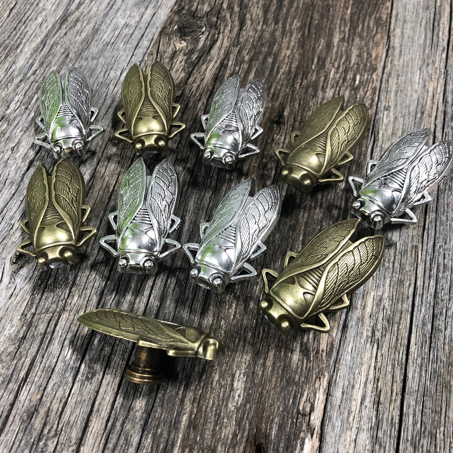 Insect Drawer Knobs in Brass Cicada Knobs Insect Etsy