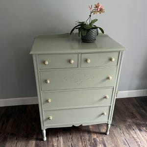 May include: A sage green wooden chest of drawers featuring five drawers with ornate, light-coloured circular knobs. The top drawer is split into two, while the three lower drawers are full-width. A small potted orchid sits on the flat top surface.