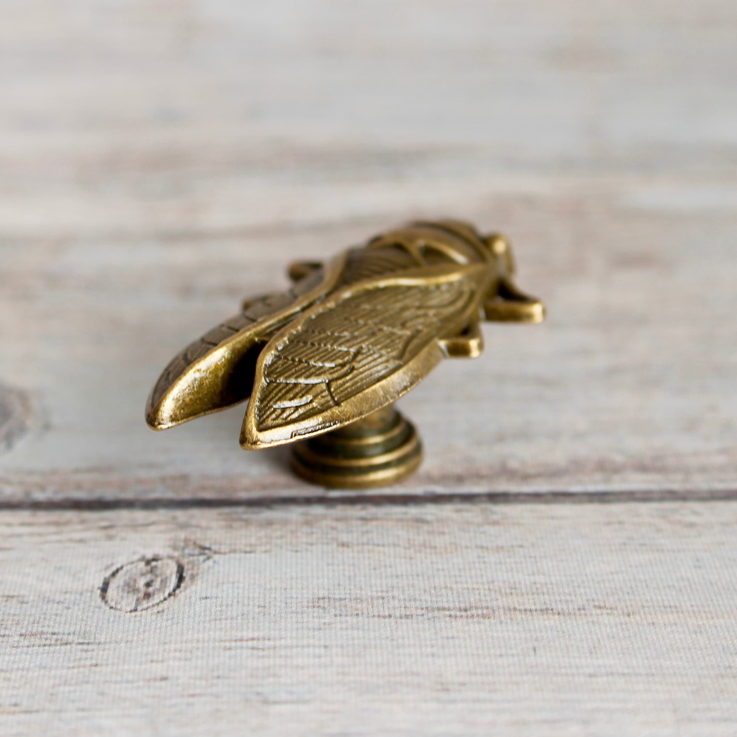 Insect Drawer Knobs in Brass Cicada Knobs Insect Etsy Canada