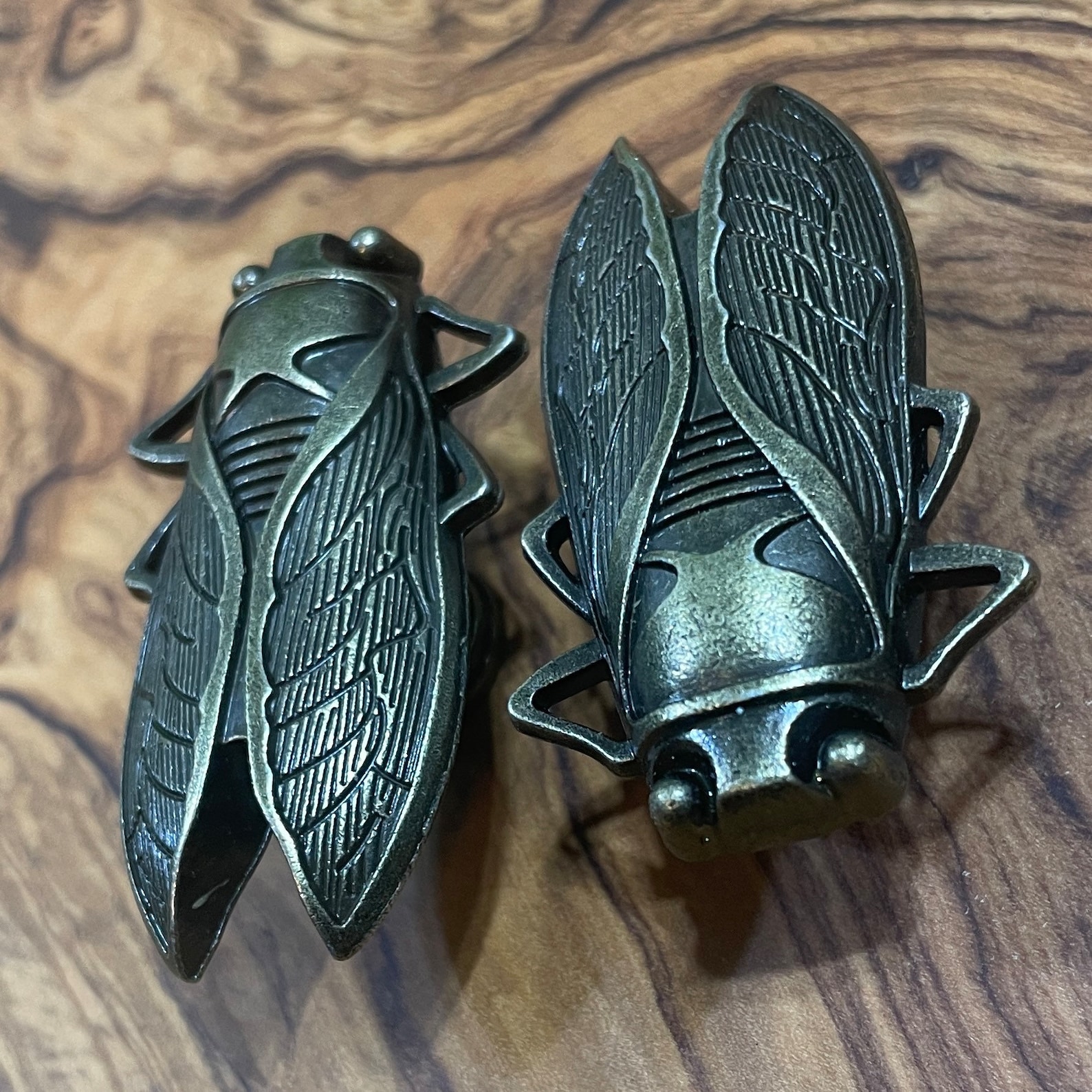 Insect Drawer Knobs in Brass Cicada Knobs Insect Etsy