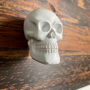 May include: White ceramic skull with a detailed face and teeth. The skull is mounted on a wooden surface.