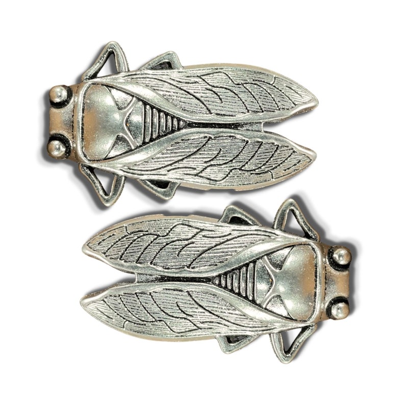 Insect Drawer knobs Silver Set of 2 / 4 / 6 / 8 Cicada Cabinet Knobs Entomology gift Bug Dresser Knobs for Woodland Decor image 1