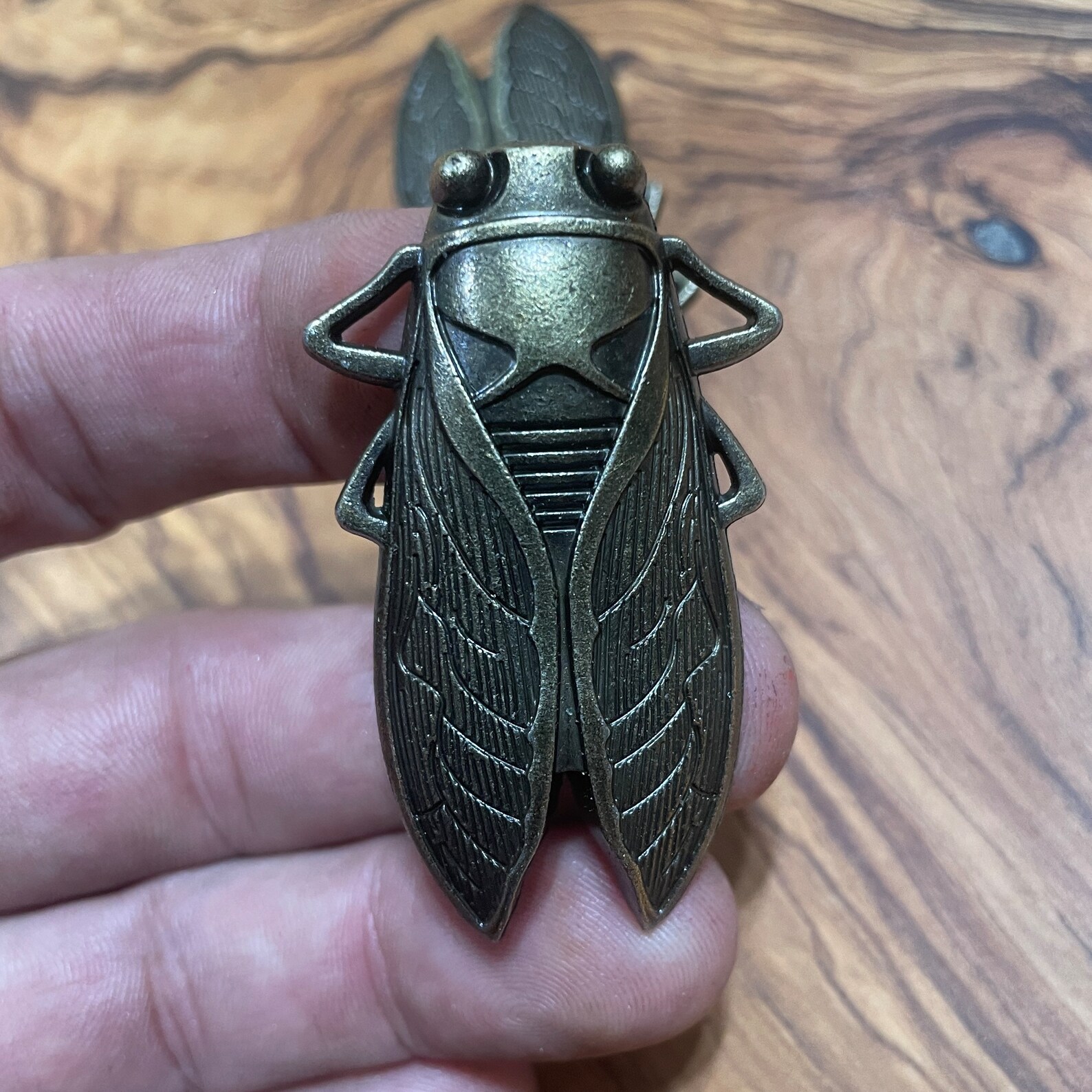 Insect Drawer Knobs in Brass Cicada Knobs Insect Etsy