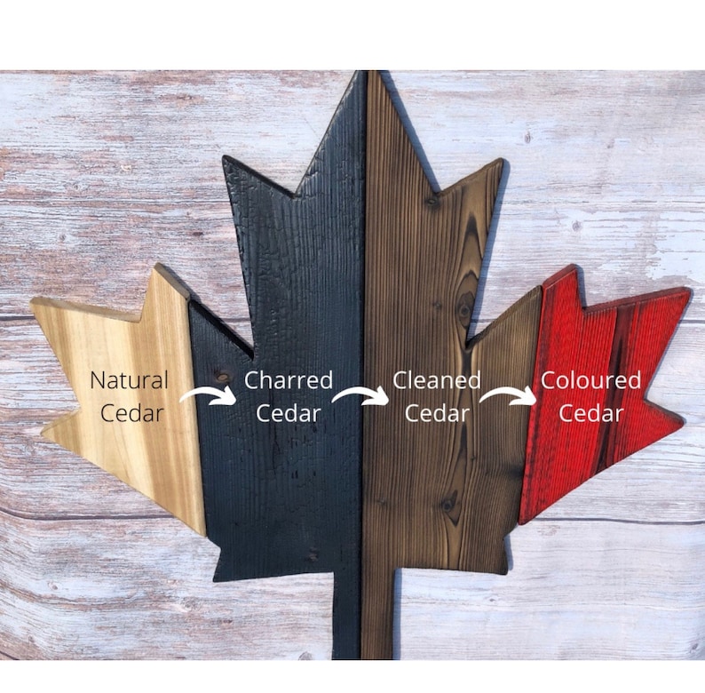 May include: A wooden Canadian maple leaf with four different finishes: natural cedar, charred cedar, cleaned cedar, and colored cedar.