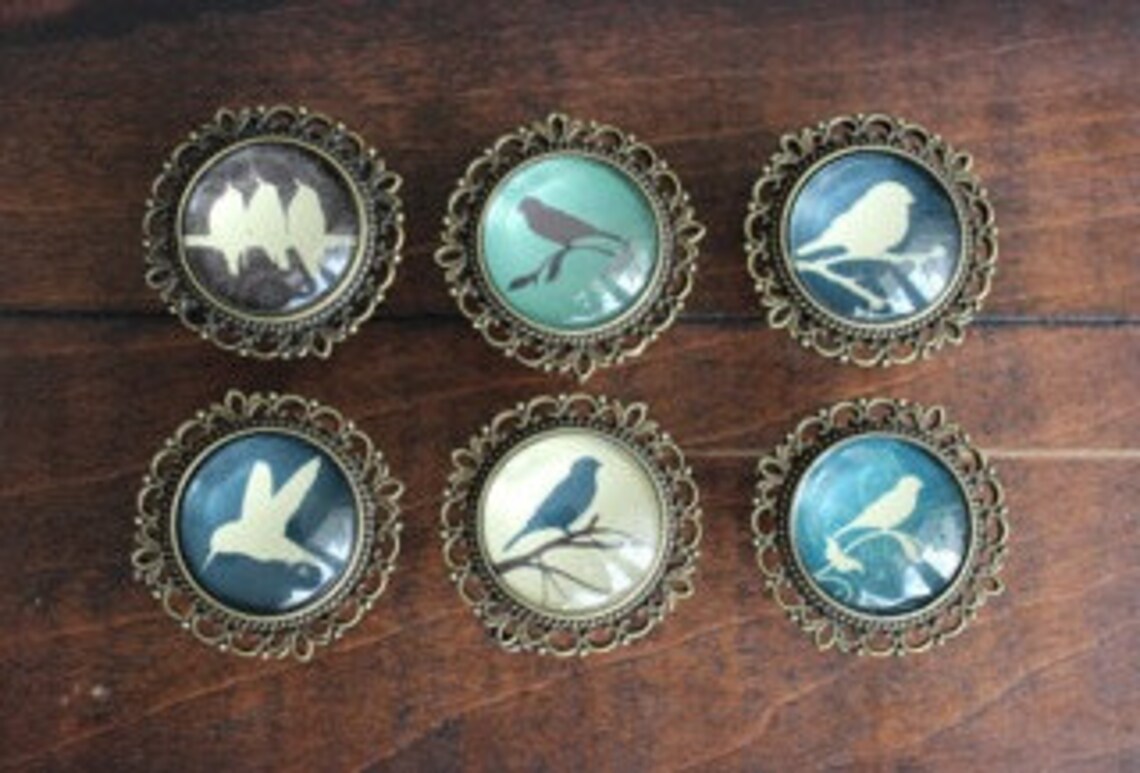 Bird Drawer Knobs Brass Knobs With Bird Images Etsy
