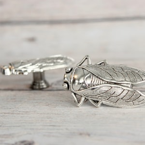 Insect Drawer knobs Silver Set of 2 / 4 / 6 / 8 Cicada Cabinet Knobs Entomology gift Bug Dresser Knobs for Woodland Decor image 2