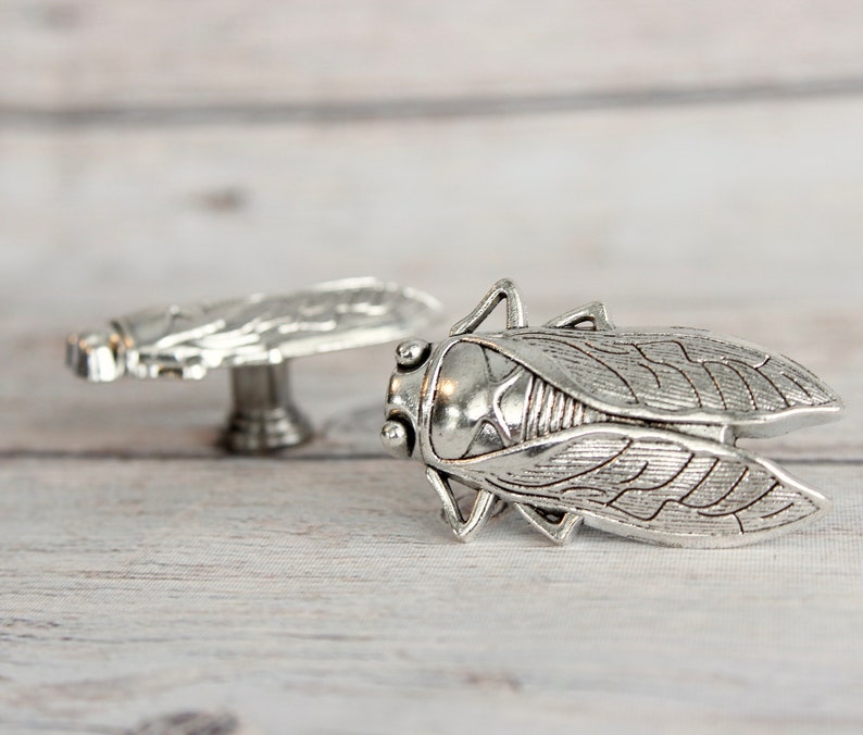 Insect Drawer knobs Silver Set of 2 / 4 / 6 / 8 Cicada Cabinet Knobs Entomology gift Bug Dresser Knobs for Woodland Decor image 2