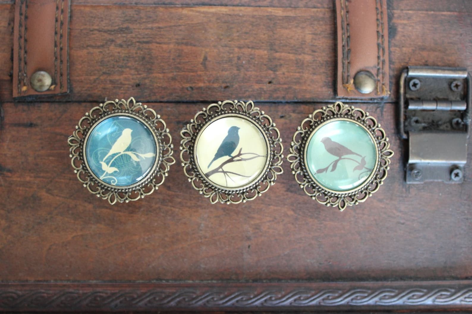 Bird Drawer Knobs Brass Knobs With Bird Images Etsy