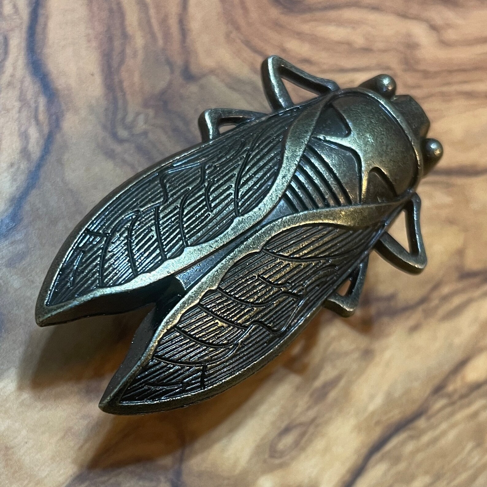 Insect Drawer Knobs in Brass Cicada Knobs Insect Etsy