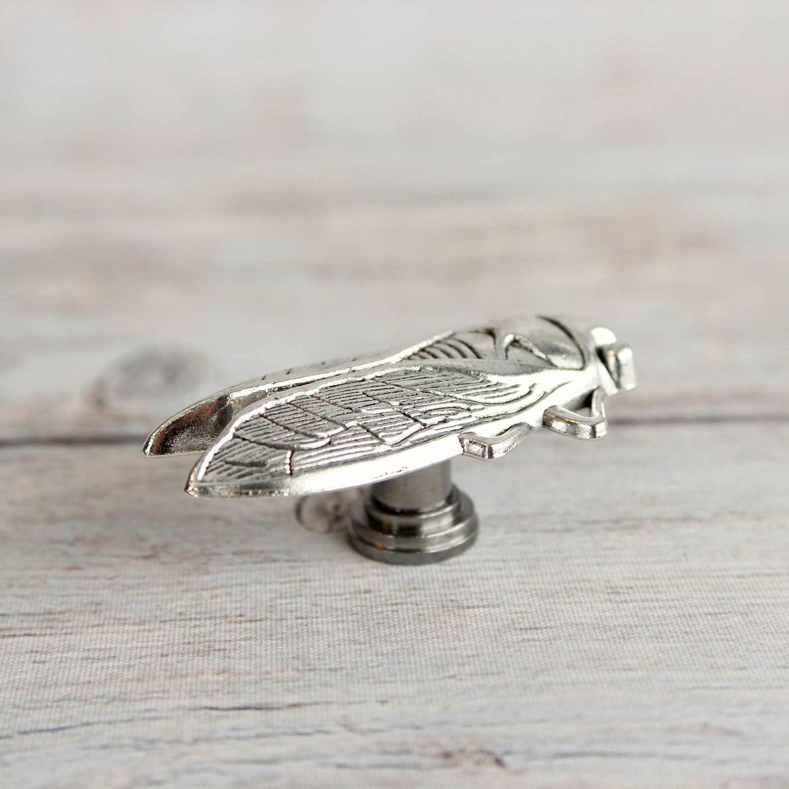Insect Drawer Knobs in Silver Metal Metal Cicada Etsy