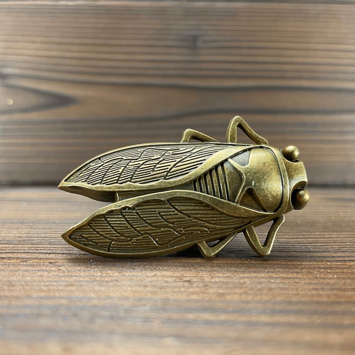 Insect Drawer Knobs in Brass Cicada Knobs Insect Etsy