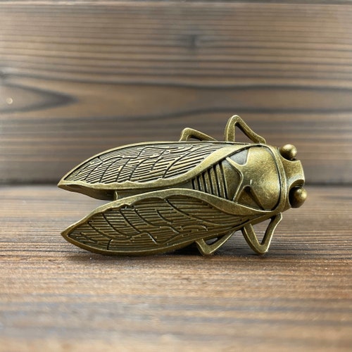Insect drawer knobs in Brass - Cicada Cabinet Knobs - Insect Dresser Knobs in Brass - Entomology gift - Nature Decor - Bug Decor