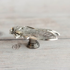 Insect Drawer knobs Silver Set of 2 / 4 / 6 / 8 Cicada Cabinet Knobs Entomology gift Bug Dresser Knobs for Woodland Decor image 5