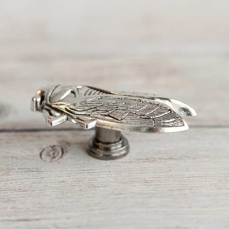 Insect Drawer knobs Silver Set of 2 / 4 / 6 / 8 Cicada Cabinet Knobs Entomology gift Bug Dresser Knobs for Woodland Decor image 5