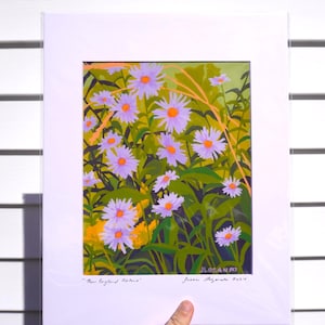Botanical Aster Flower Print – 8x10” Archival Wall Art of New England Native Wildflowers for Pollinator Gardens