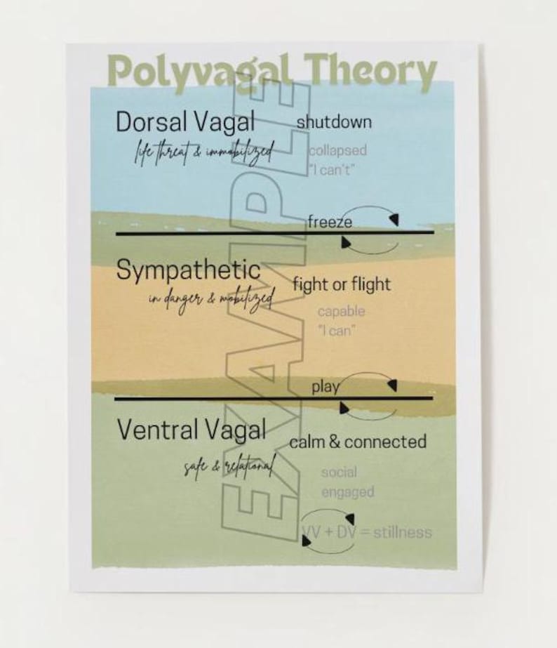Polyvagal Theory Poster (simple) - Polyvagal Theory - Somatic ...