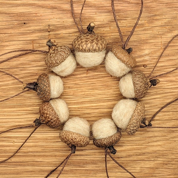 Oatmeal Tan Felted  Acorns,  natural colored ecofriendly wool, also available as ornaments