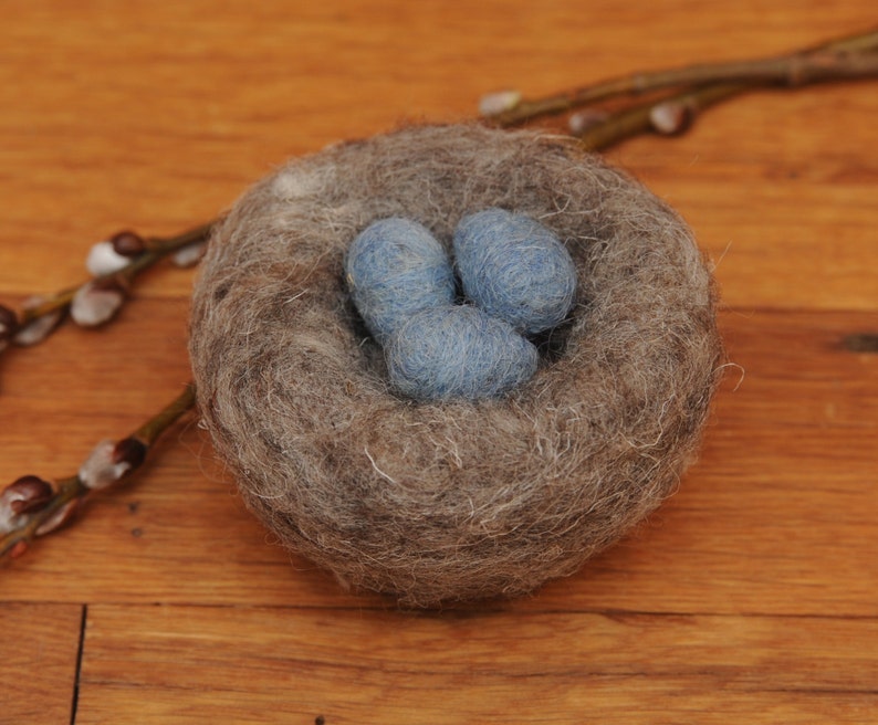 Needle Felted Bird's Nest with Robins Eggs or Acorns image 1