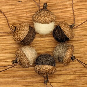 Felted Wool Acorns or Acorn Ornaments, Natural colors image 4