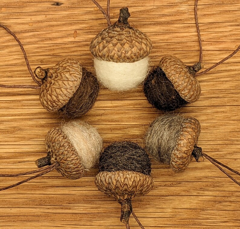 Felted Wool Acorns or Acorn Ornaments, Natural colors image 4