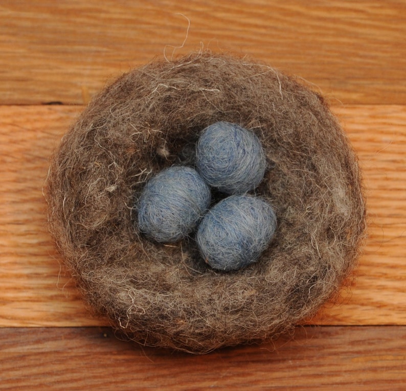 Needle Felted Bird's Nest with Robins Eggs or Acorns image 3